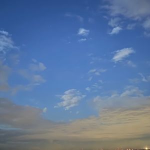 Meet your Posher, Lilly